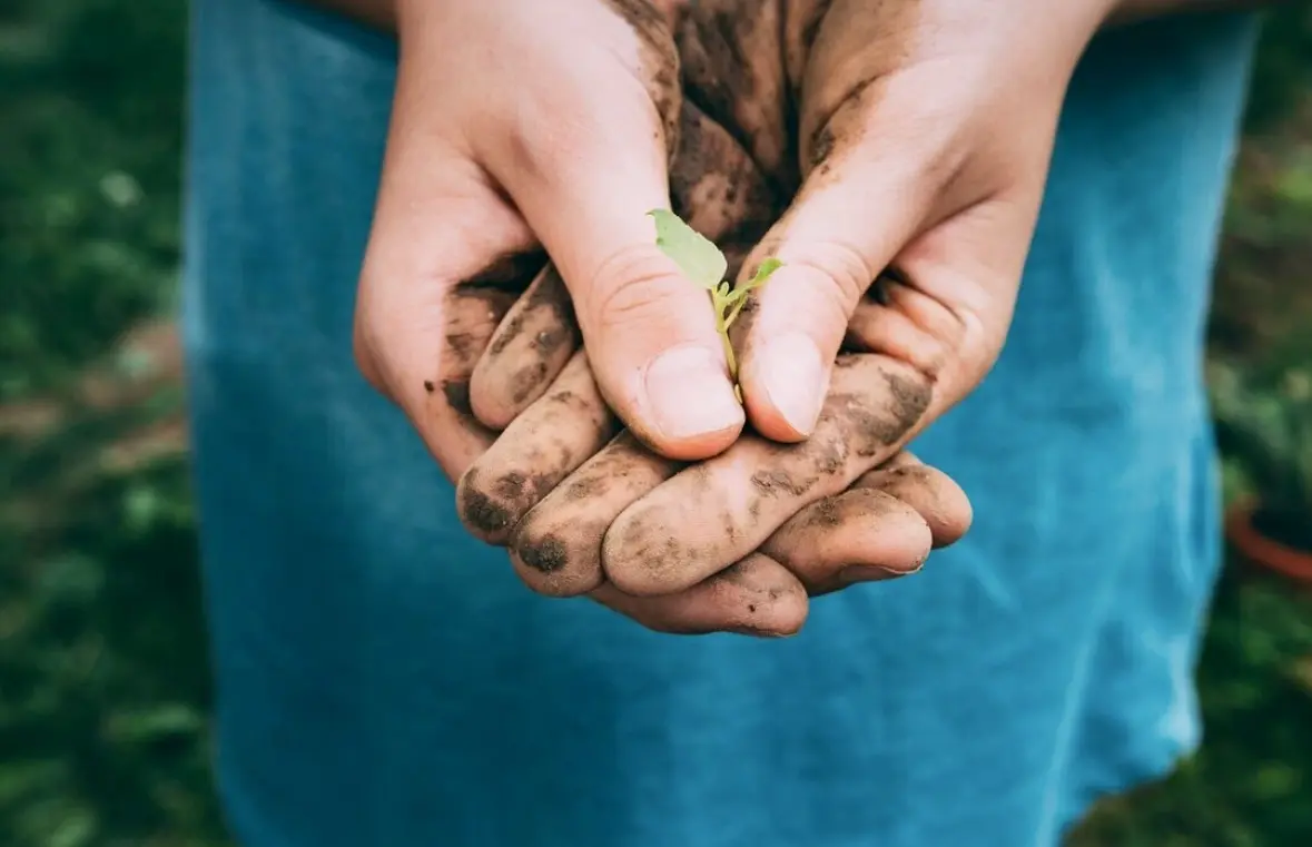 A holding rural garante que o seu empreendimento familiar seja preservado